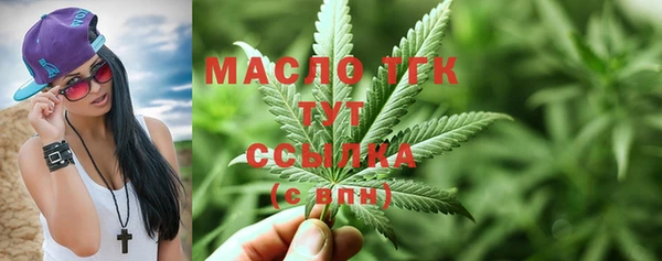 шишки Бородино