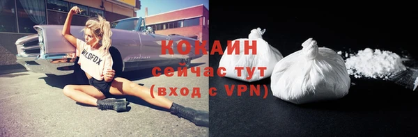 шишки Бородино