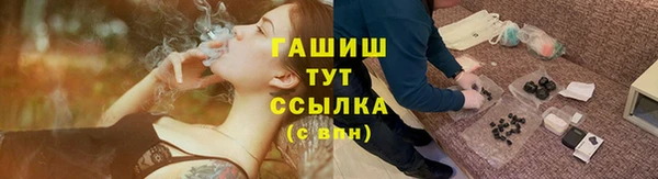 шишки Бородино