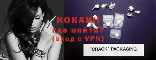шишки Бородино