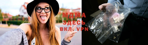 шишки Бородино