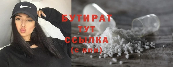 шишки Бородино