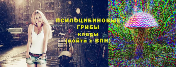 герыч Бронницы