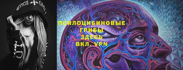 шишки Бородино
