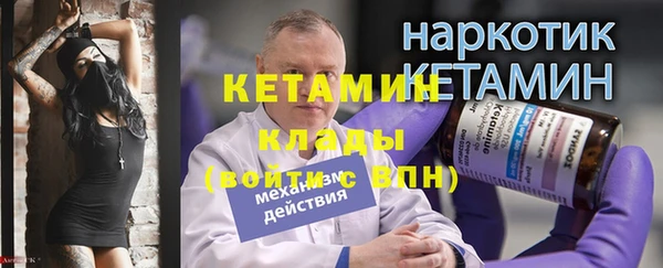 шишки Бородино
