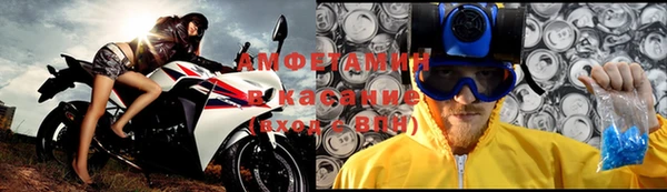 шишки Бородино