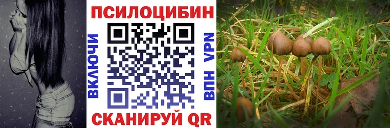 Галлюциногенные грибы прущие грибы Ленинградская