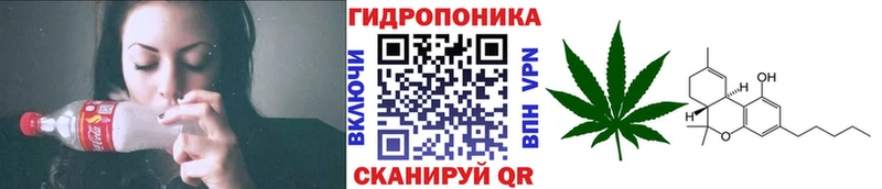 Шишки марихуана тримм  купить  цена  площадка официальный сайт  Ленинградская 